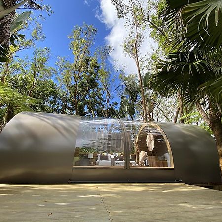 Bubble Lodge Bois Cheri Plantation Eksteriør bilde
