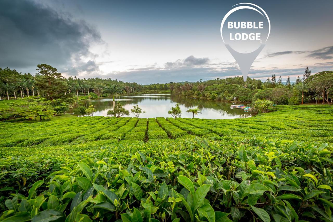 Bubble Lodge Bois Cheri Plantation Eksteriør bilde