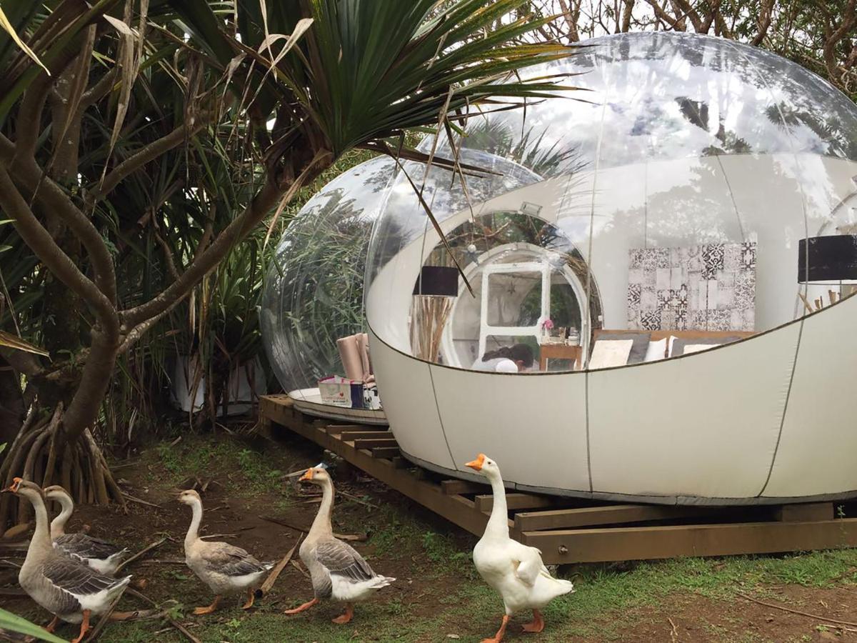 Bubble Lodge Bois Cheri Plantation Eksteriør bilde