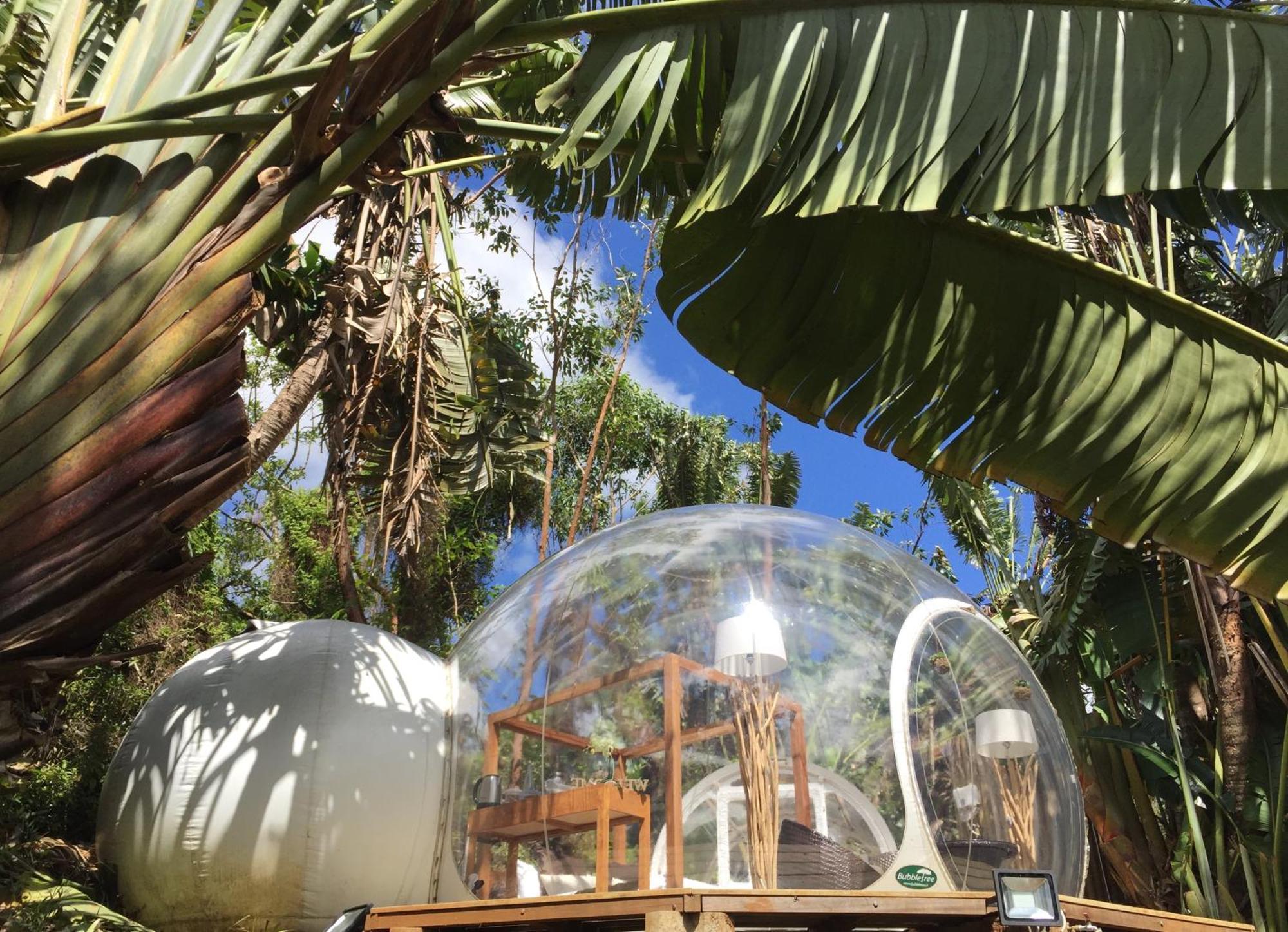 Bubble Lodge Bois Cheri Plantation Eksteriør bilde