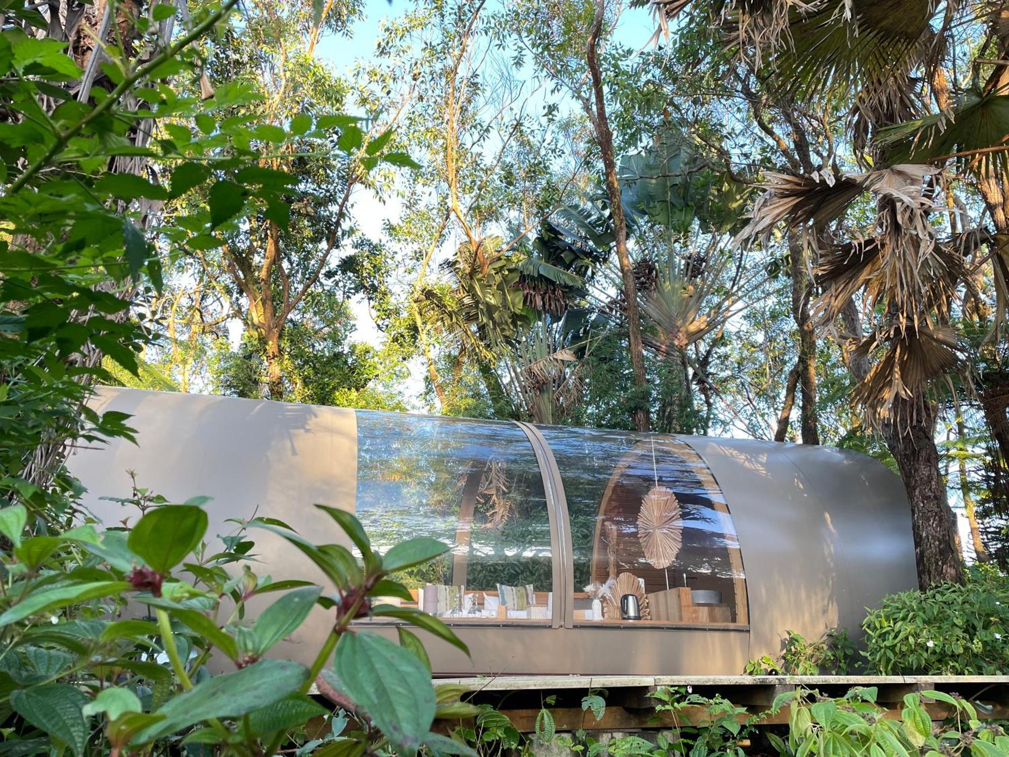 Bubble Lodge Bois Cheri Plantation Eksteriør bilde