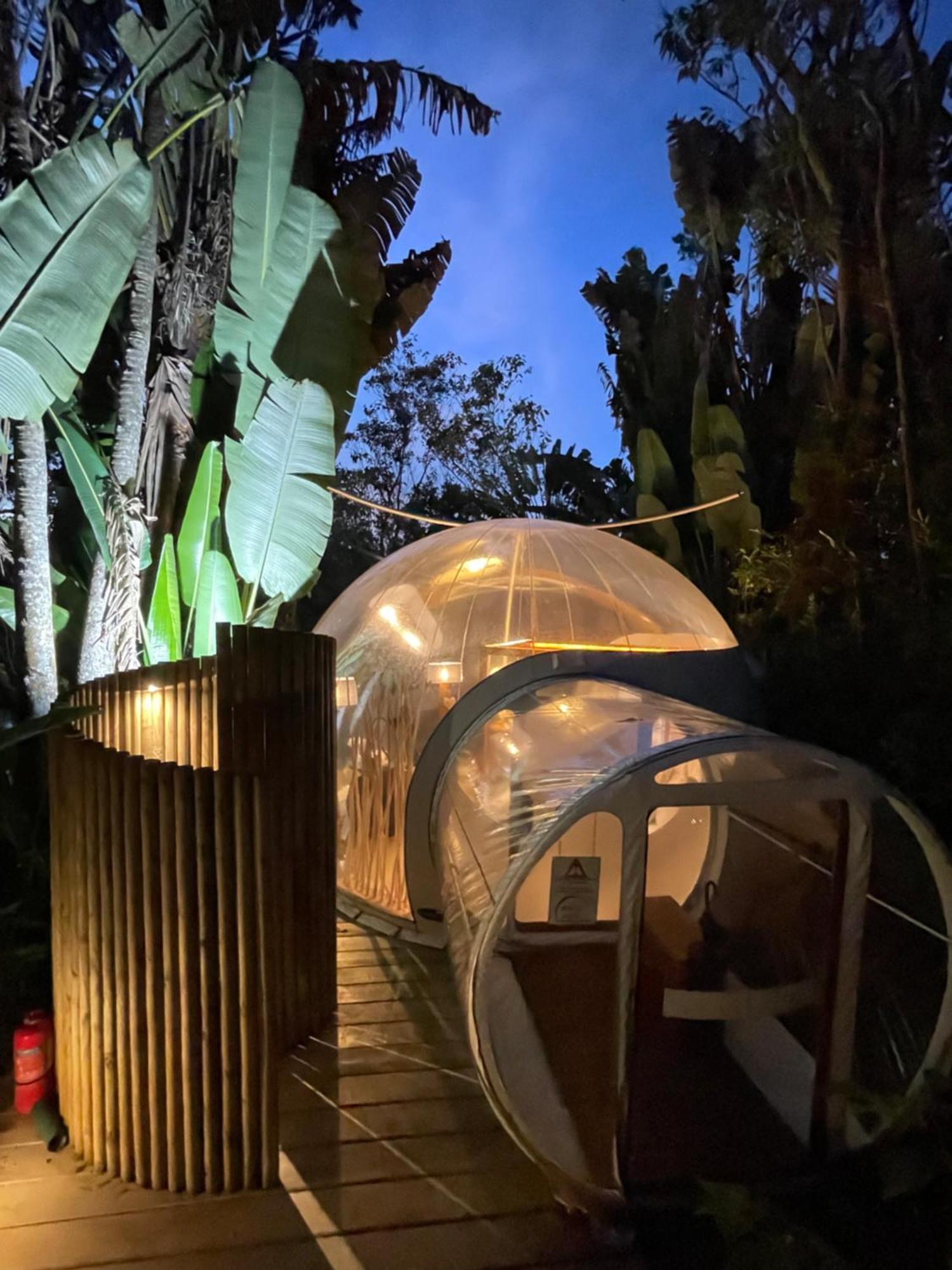 Bubble Lodge Bois Cheri Plantation Eksteriør bilde