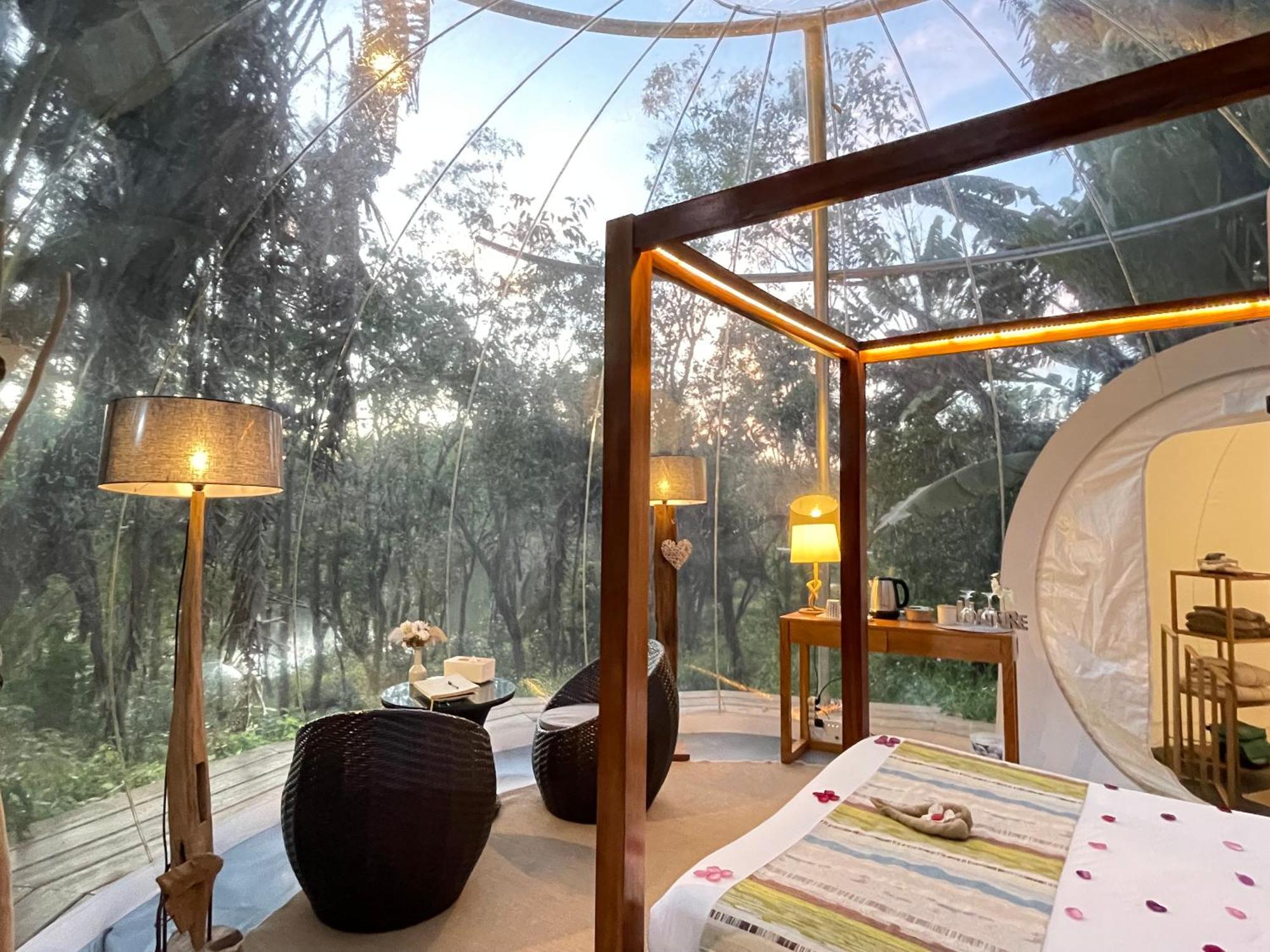 Bubble Lodge Bois Cheri Plantation Eksteriør bilde