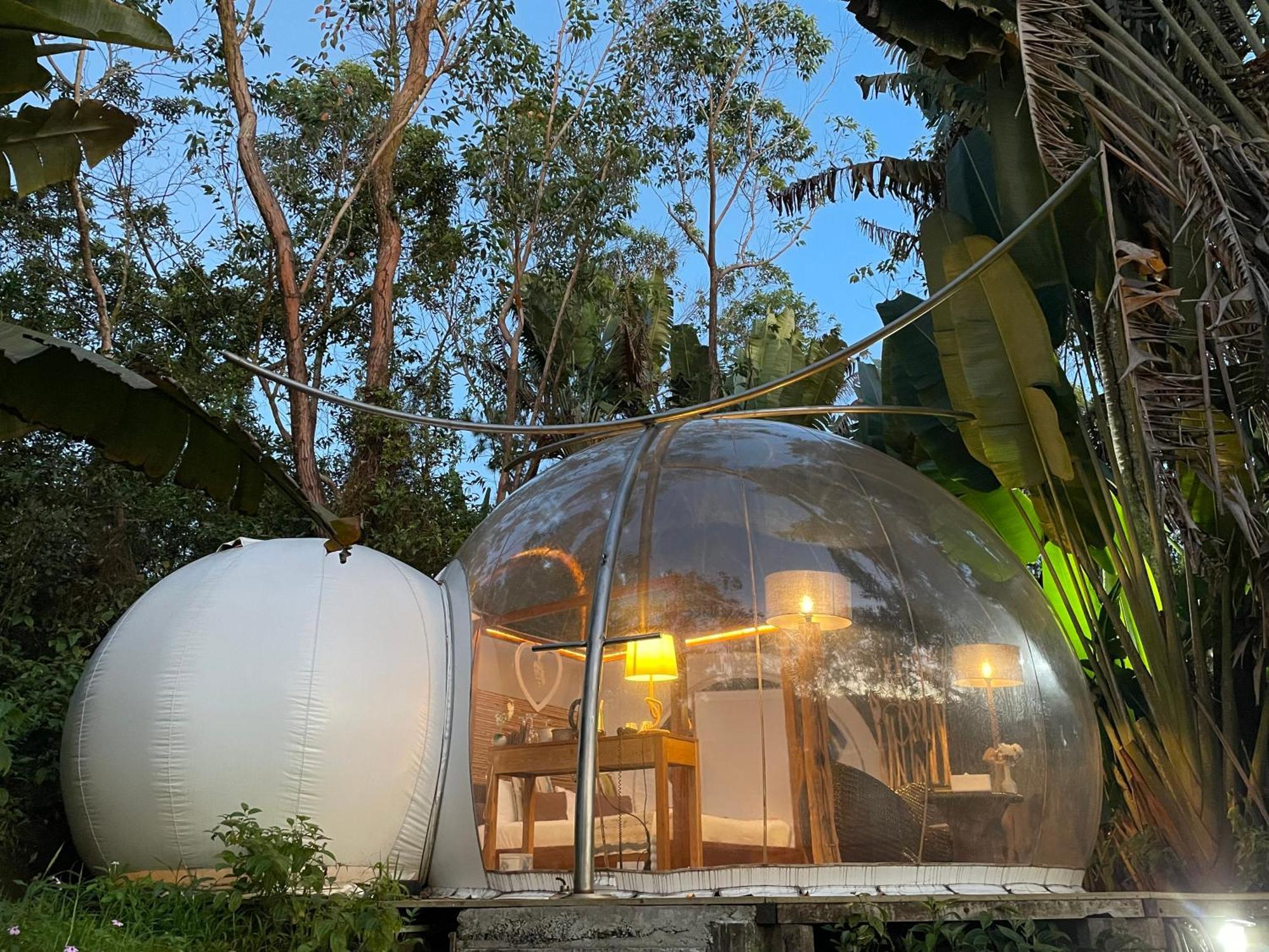 Bubble Lodge Bois Cheri Plantation Eksteriør bilde