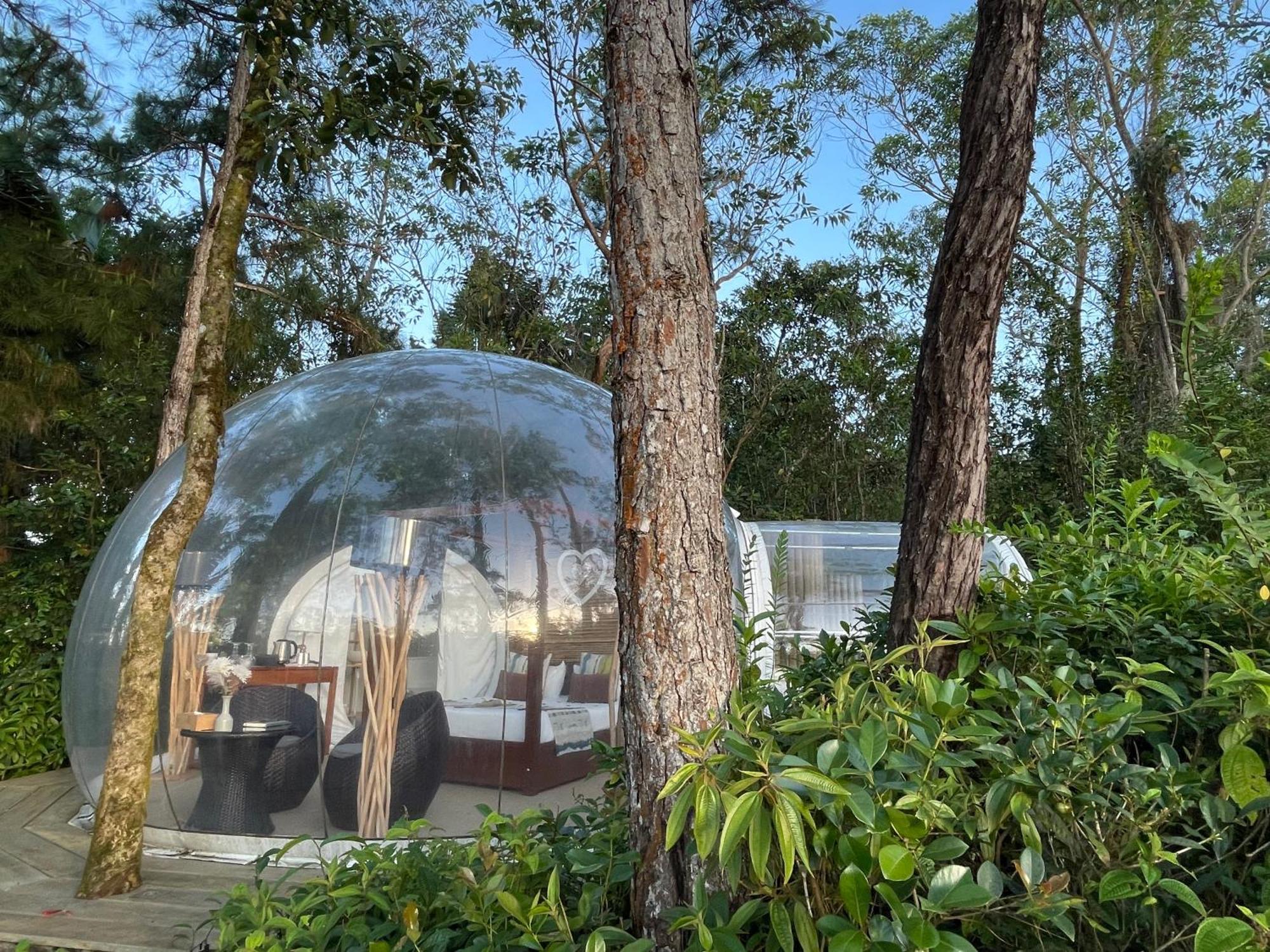 Bubble Lodge Bois Cheri Plantation Eksteriør bilde