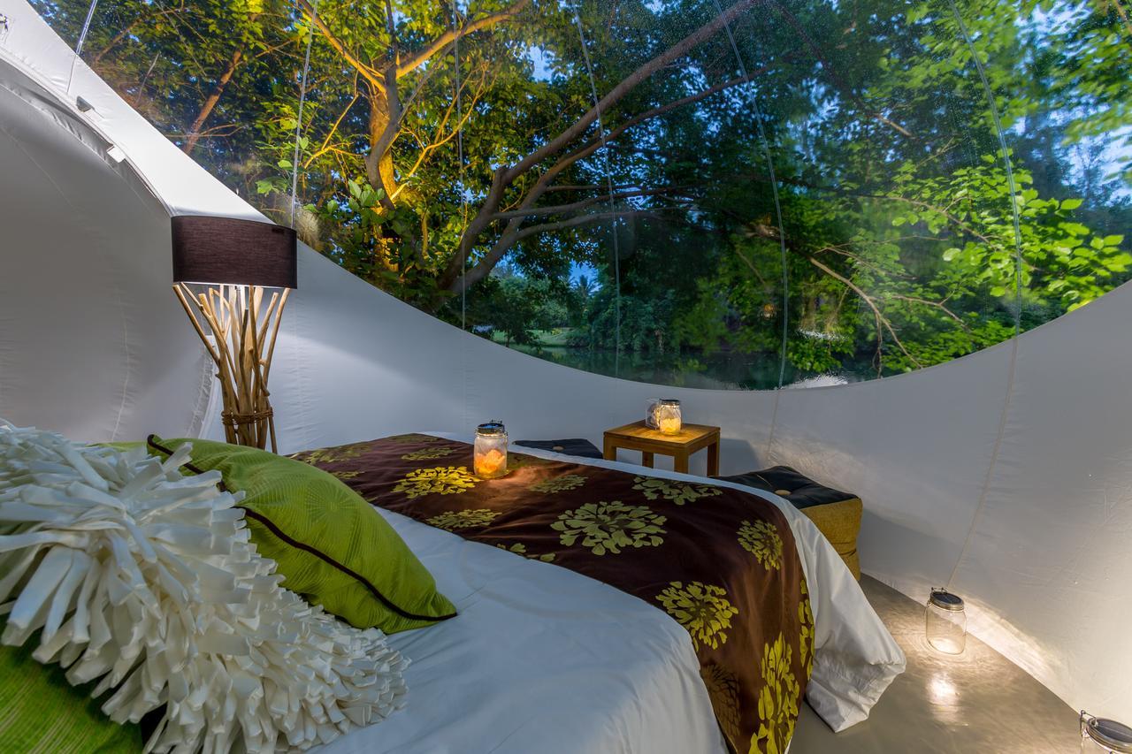 Bubble Lodge Bois Cheri Plantation Eksteriør bilde